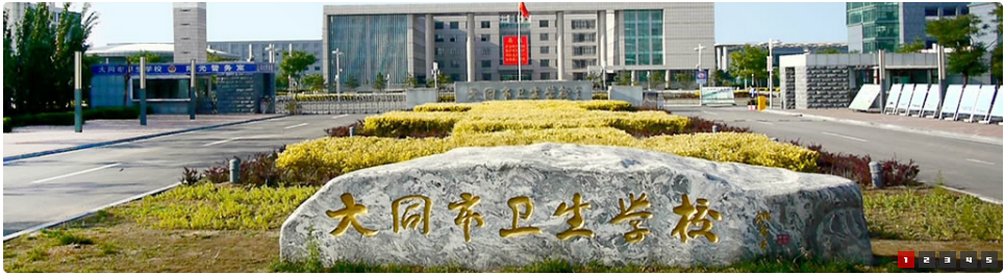 08 大同1005#274.png